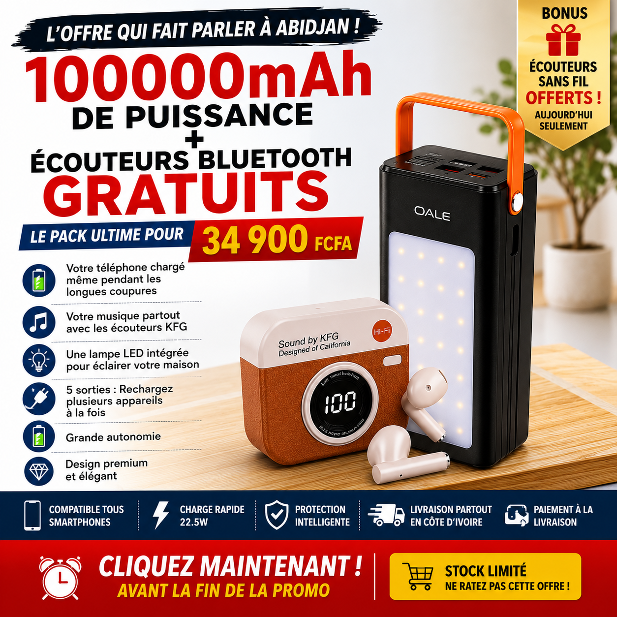OALE Power Bank 100 000 mAh | Charge Rapide 22.5W